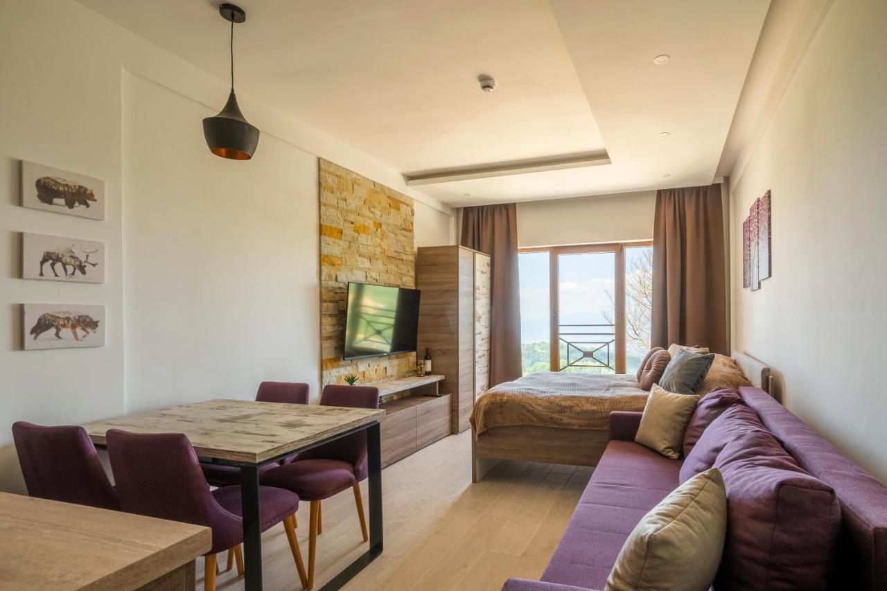 Sunset View Ski & Spa Apartments 科帕奥尼克 外观 照片