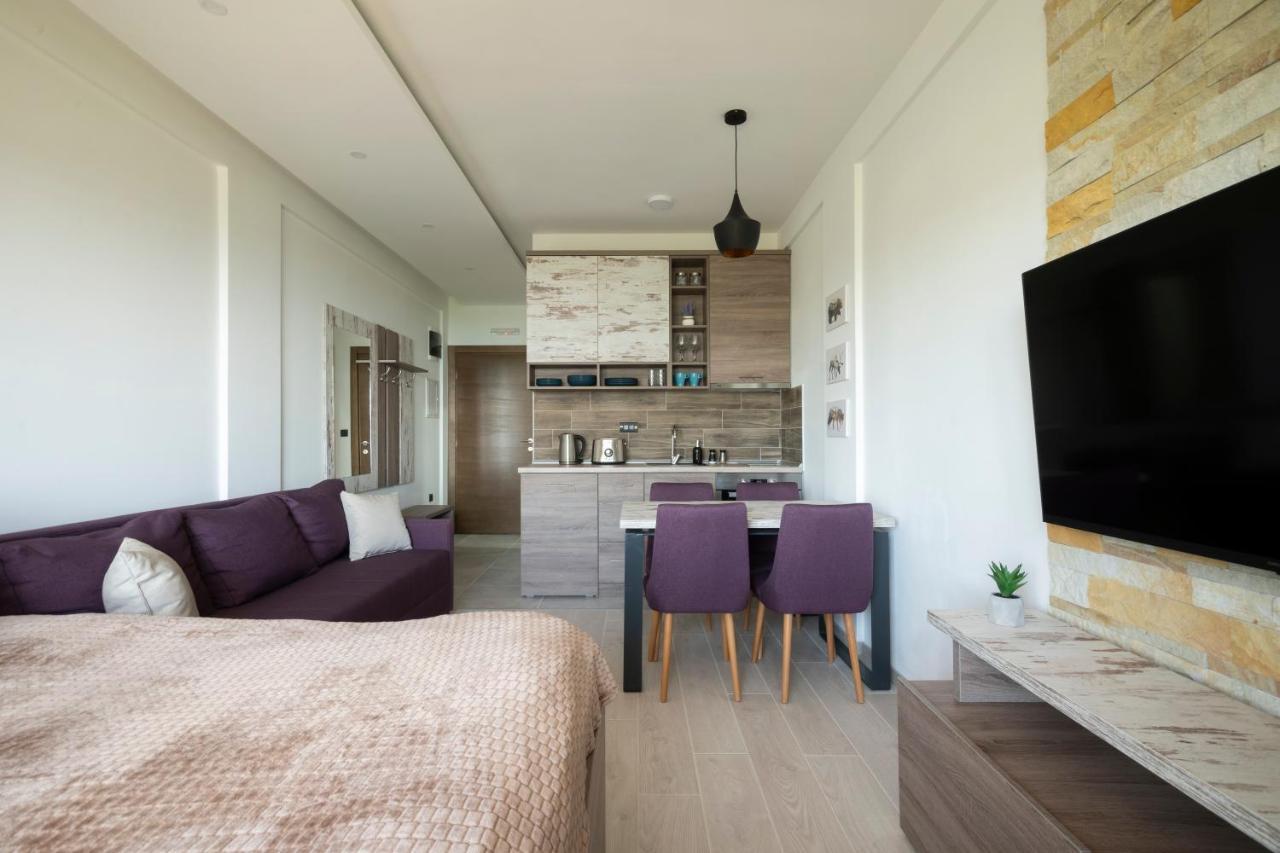 Sunset View Ski & Spa Apartments 科帕奥尼克 外观 照片