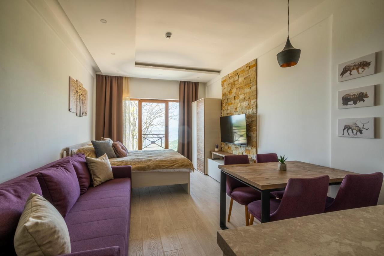 Sunset View Ski & Spa Apartments 科帕奥尼克 外观 照片