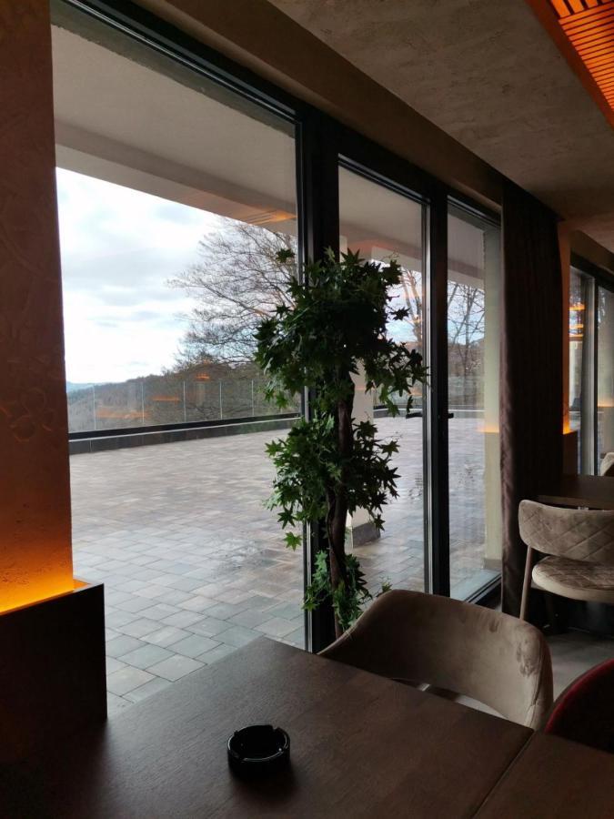 Sunset View Ski & Spa Apartments 科帕奥尼克 外观 照片